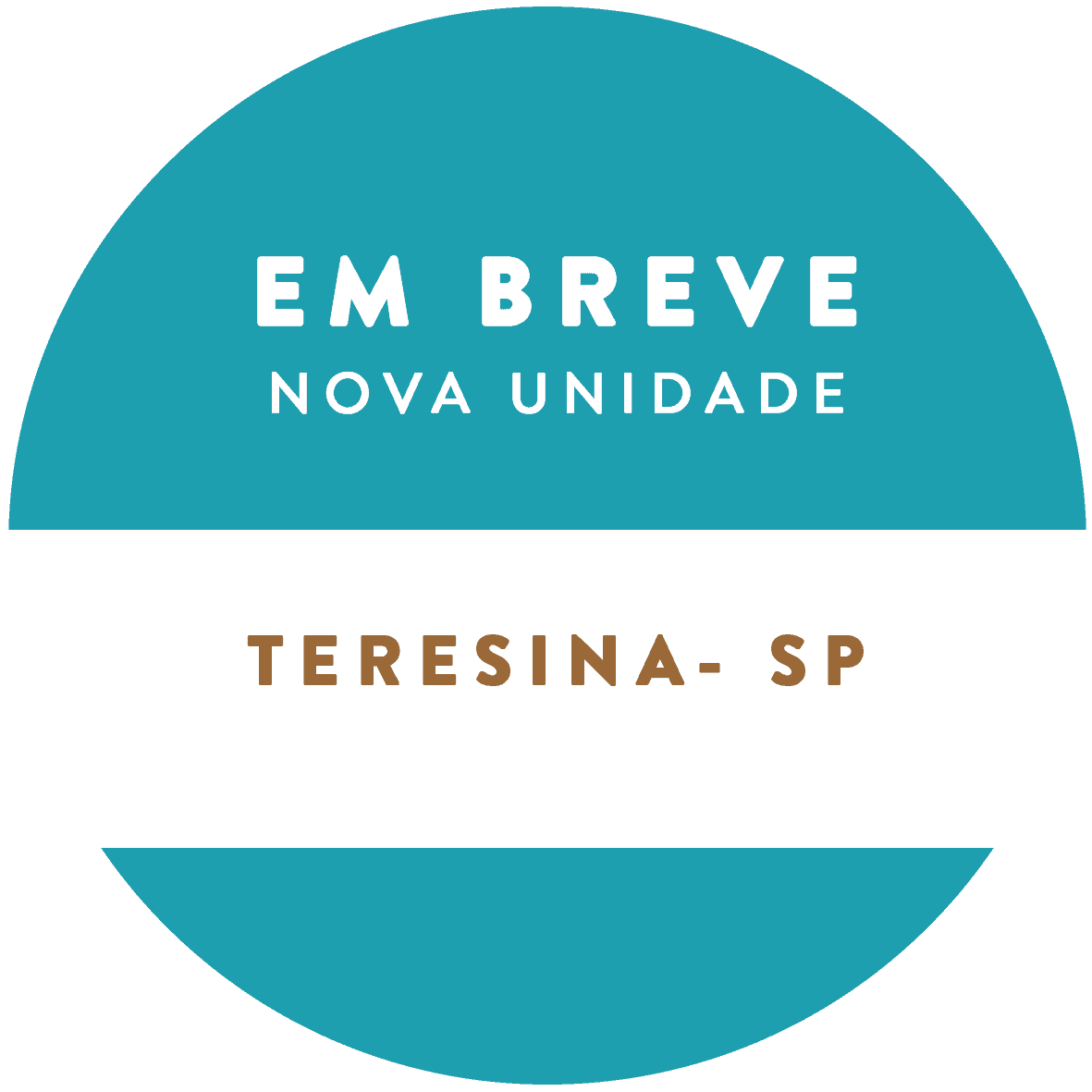 EMBREVE_Teresina